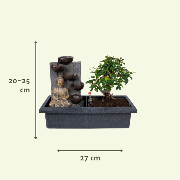 Bonsai Waterval (Boeddha) - Ø15cm - ↕30cm