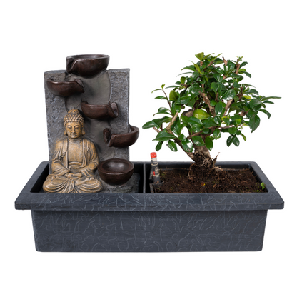 Bonsai Waterval (Boeddha) - Ø15cm - ↕30cm