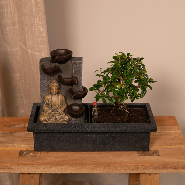 Bonsai Waterval (Boeddha) - Ø15cm - ↕30cm